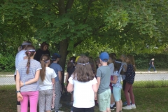 IMG_20220613_140331_1